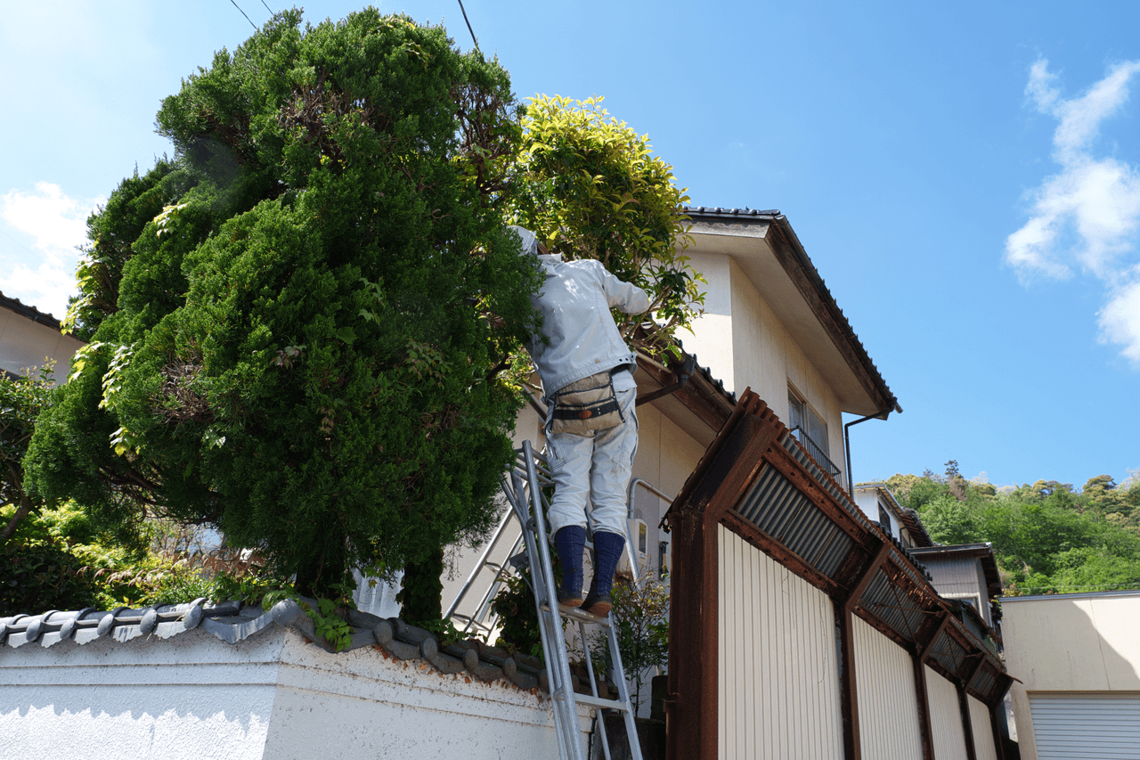 庭木の伐採後のすっきりとした庭